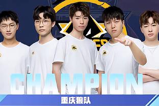 篮板保护